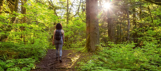 adventurous woman taking a forest bath on trail