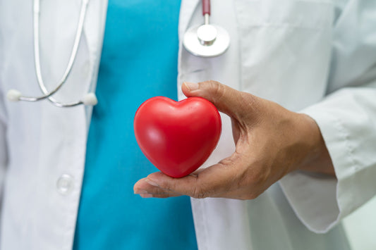 Doctor holding heart