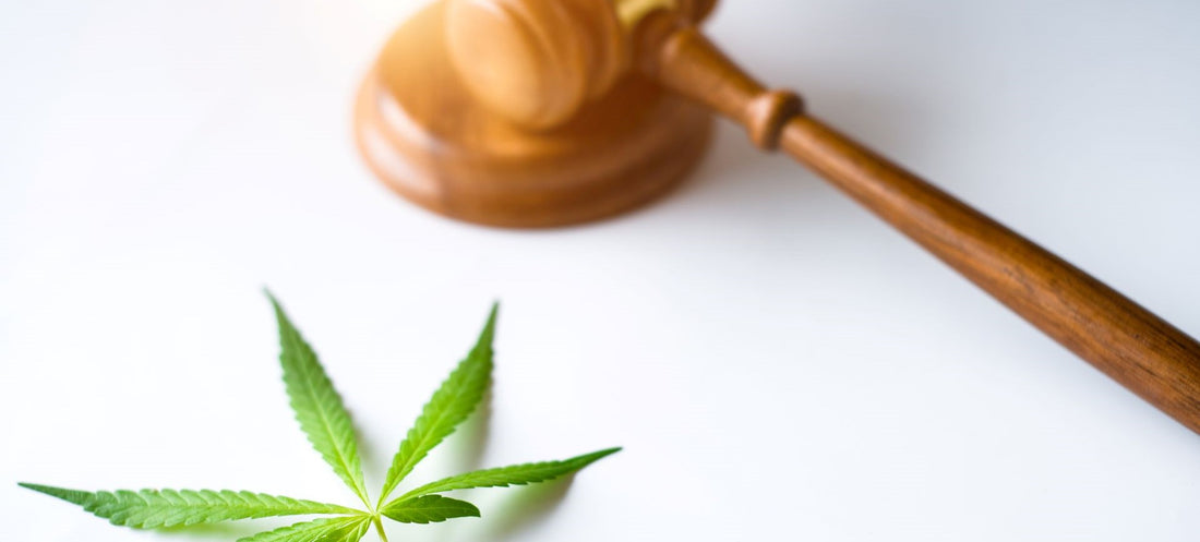 Gavel sitting next to cannabis leaf