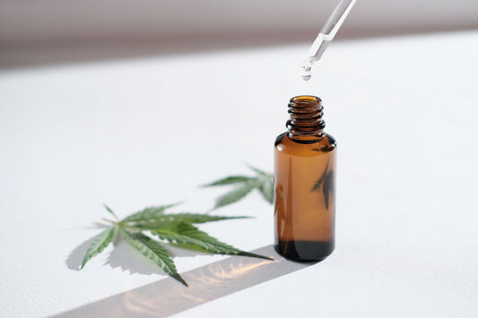 CBD oil on blank background with hemp leaves